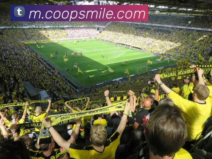 米乐m6服务体系